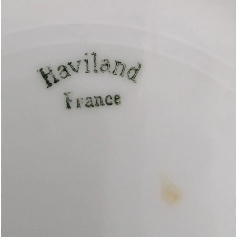 Haviland Show Plate Hand Painted China  Vintage France Decorated Porcelain